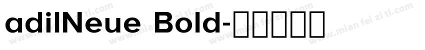 adilNeue Bold字体转换